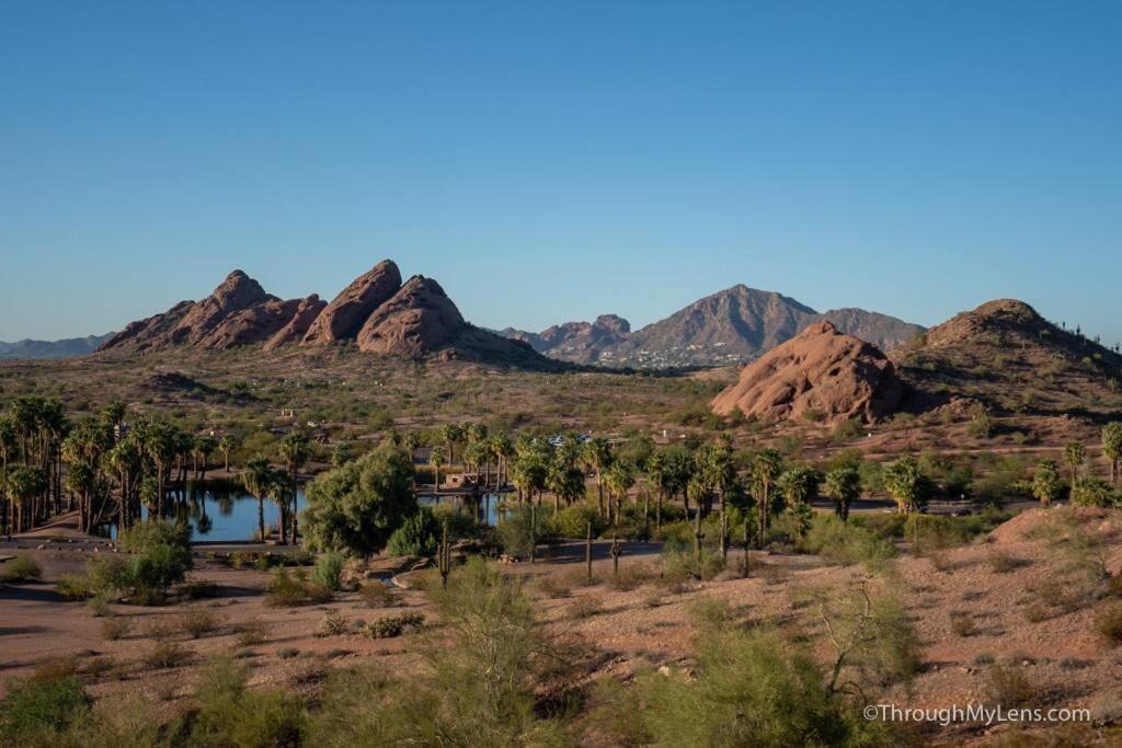 Modern Tempe Home With Heated Pool, Asu Luaran gambar